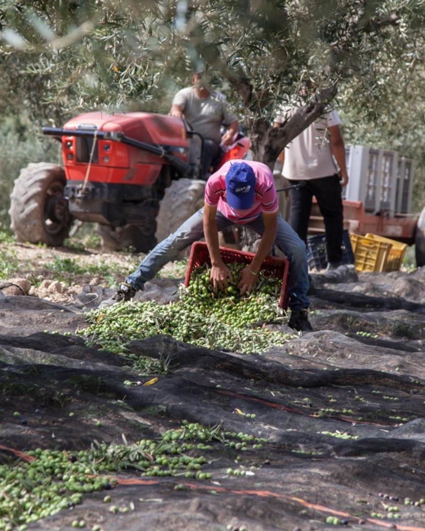 Azienda Agricola Mandranova Konuk evi Palma di Montechiaro Dış mekan fotoğraf