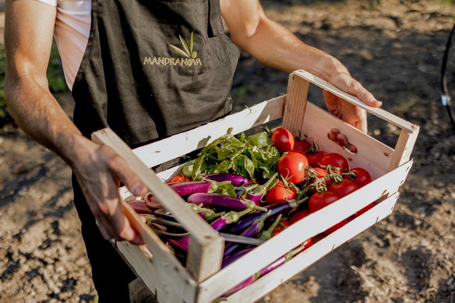 Azienda Agricola Mandranova Palma di Montechiaro Dış mekan fotoğraf