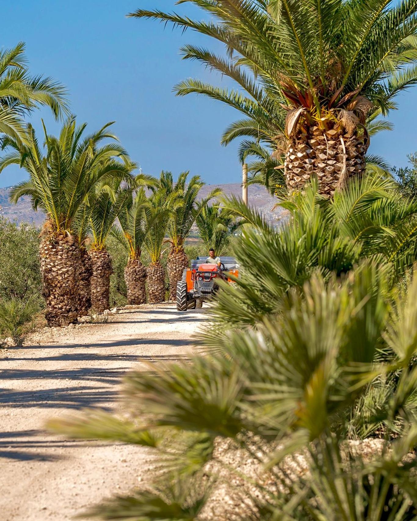 Azienda Agricola Mandranova Palma di Montechiaro Dış mekan fotoğraf