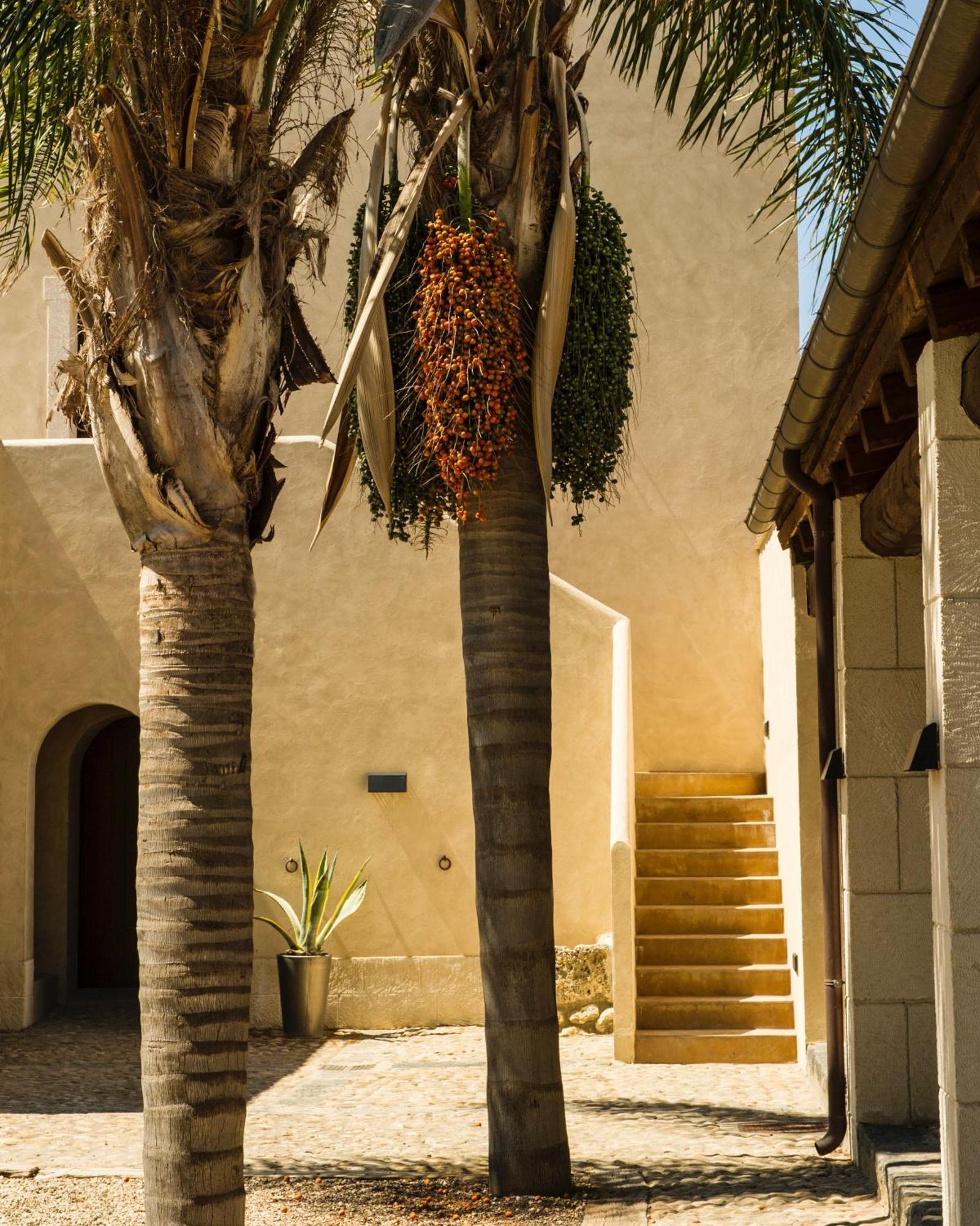 Azienda Agricola Mandranova Konuk evi Palma di Montechiaro Dış mekan fotoğraf